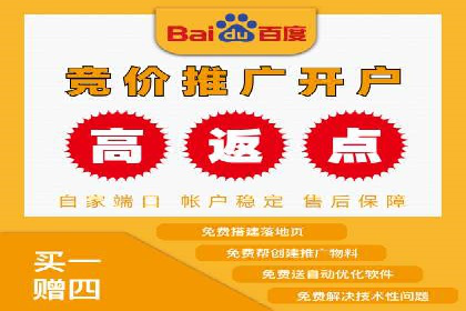 SEM代运营机构成功案例：优化策略与效果分析